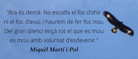 “Ara és demà. No escalfa el foc d'ahir ni el foc d'avui, i haurem de fer foc nou. Del gran silenci ençà tot el que es mou es mou amb voluntat d'esdevenir.” Miquel Martí i Pol