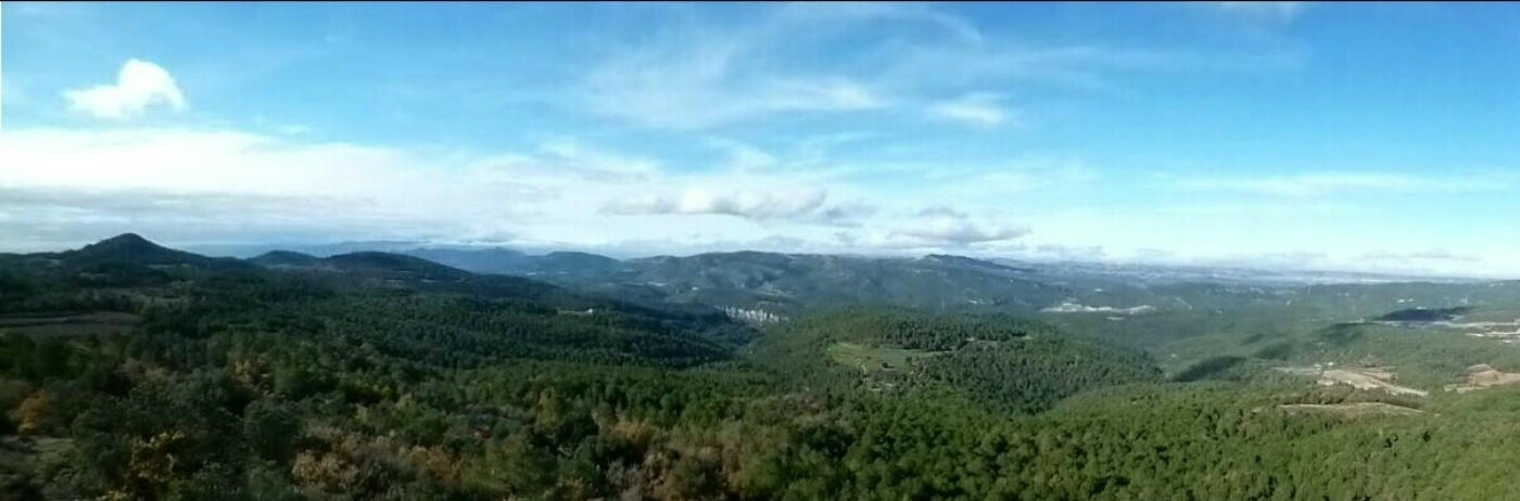 Alt Gaià